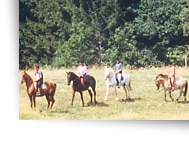 Horseback riding in the Vosges